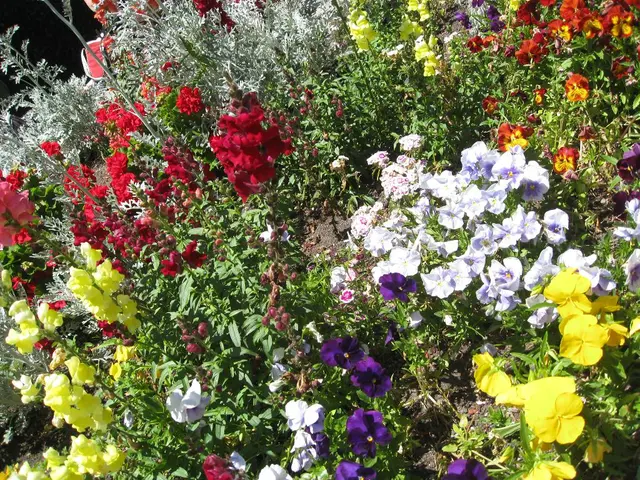 Revamped Outdoor Haven with 10 Blossoming Flower Choices for Your Garden Beds