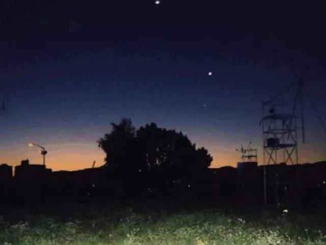 Top 21 House Plants Thriving Under Subdued Light Conditions