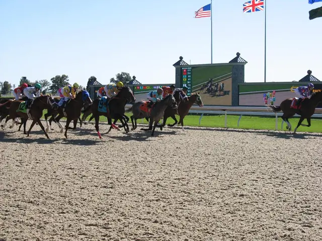 Horses create a stir at the Centennial Chincoteague Pony Swim in Virginia