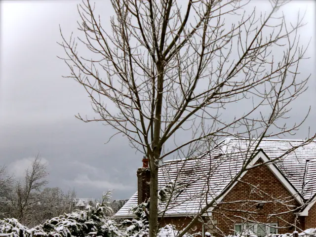 Harvest Extension Strategies: Optimal Crops for Cultivation Through Winter