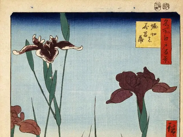 August Garden Update in 2025: A Look at the Evolution of Your Backyard