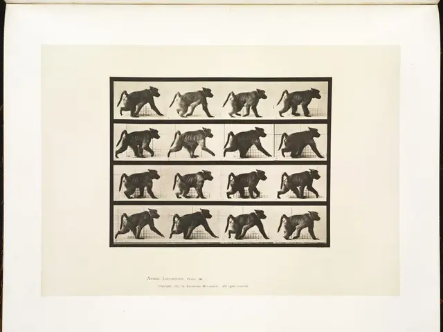 Unveiling Mario Ludwig's Latest Publication: Where Imperfections Are Accepted