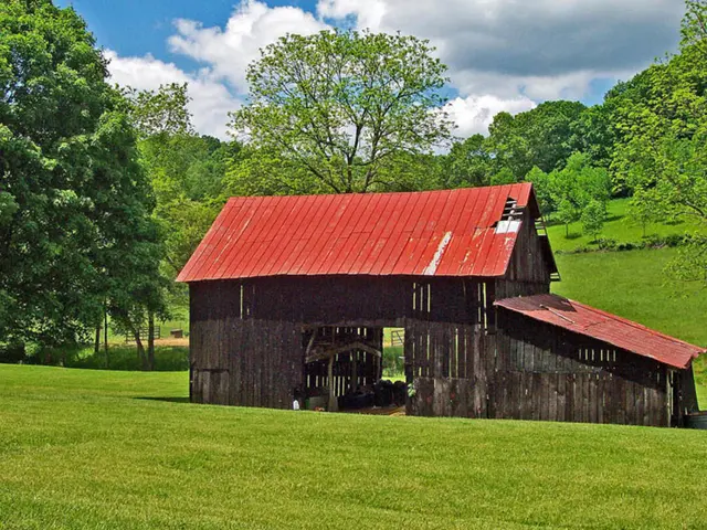 Transforming Your Garden Storage: 5 Strategies to Camouflage Your Shed and Preserve Your Yard's...