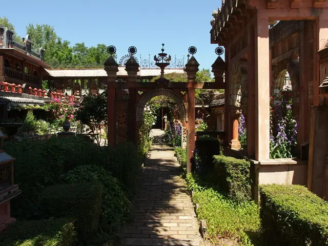 Transformed Landscaping Ideas for Your Yard in Minutes: 10 Effortless Steps for Yard Appeal...