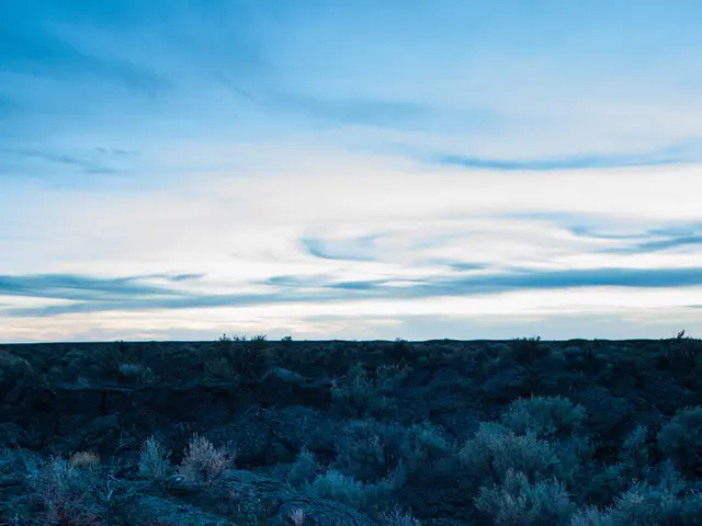 After attending a survival camp, I've learned that exploring the wilderness without a tampon is no...