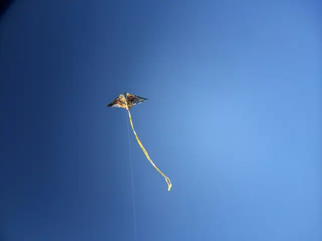 Soaring skies of Nahan filled with kites and aspirations