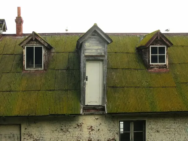 Hormann Making Headlines