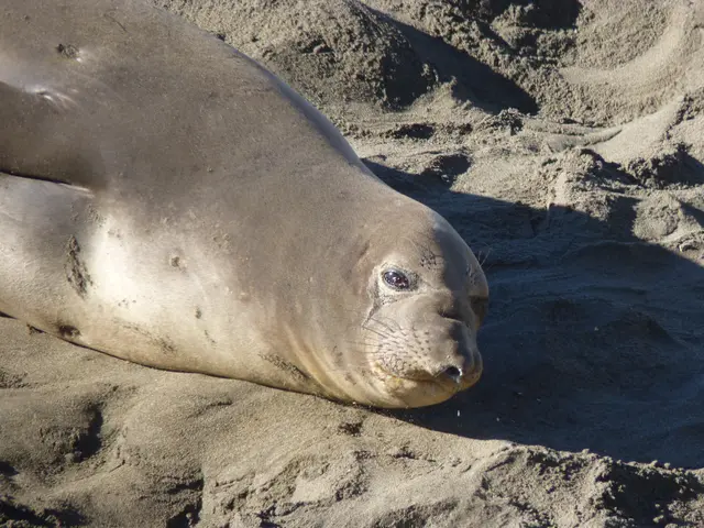 Driveway Sealers: Top Brands Thoroughly Evaluated