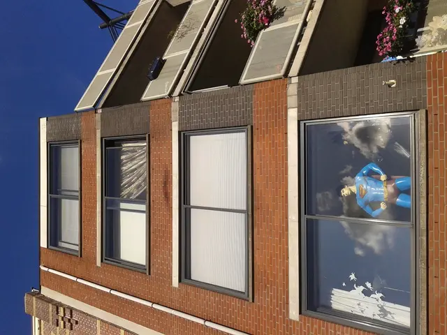 Eight Ideal Indoor Plants for Perking Up New Homes