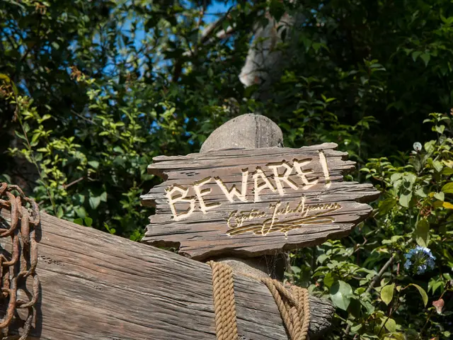 Discover the Wonders of Accoya: An In-Depth Look