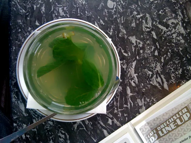 Unveiling the Merry Mint Miniature Greenhouse by Gardenuity