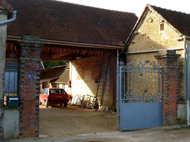 Budget-friendly DIY garden path ideas to impress: Disguising homemade paths with visually appealing...