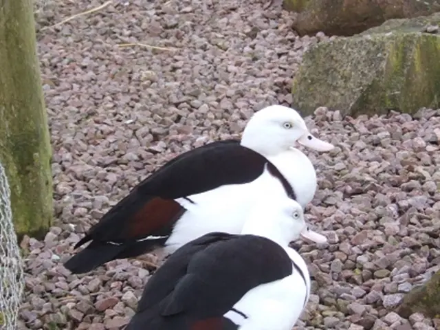 Seven outstanding gravel pathways perfect for your rustic abode in the countryside