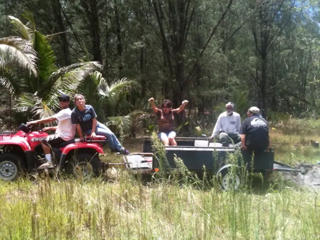 Maintaining Your Compact Tractor for Long-Term Durability: Essential Guidelines