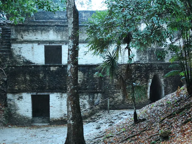 Interaction between Residents and Rainer Breuer