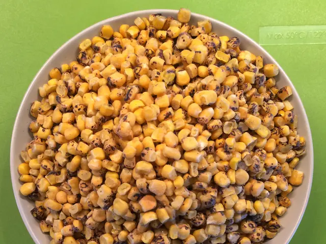 Tips for First-Time Gardeners: Understanding Seed Packets Back Information