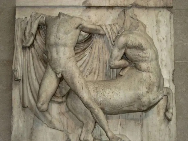 Fossils, shells, and marine life serve as inspiration for Shaha Raphael's restricted Edition line...