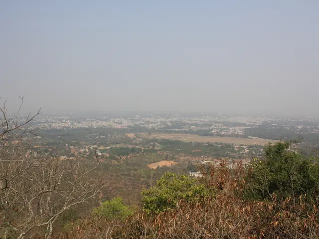 Top Indoor Flora with Minimal Effort: Abreast Fresh Oxygen and Hassle-Free Cultivation