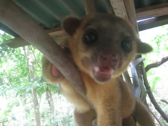 "Speech a bit elusive at the moment."