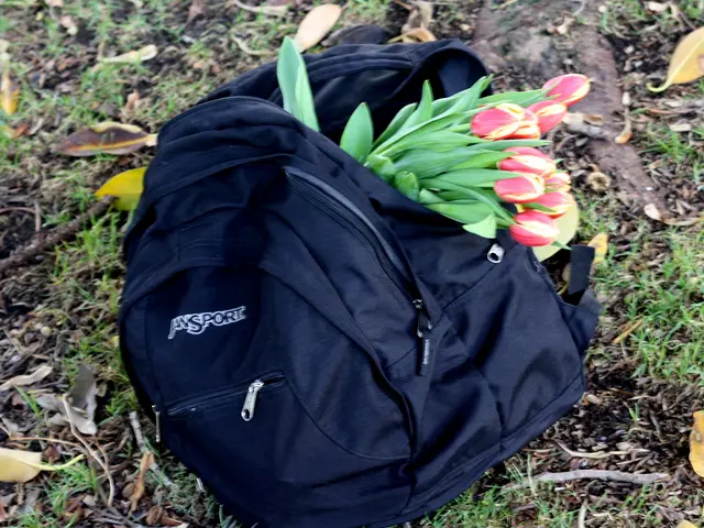 The Superiority of Grow Bags Over Traditional Plastic Planters Explained