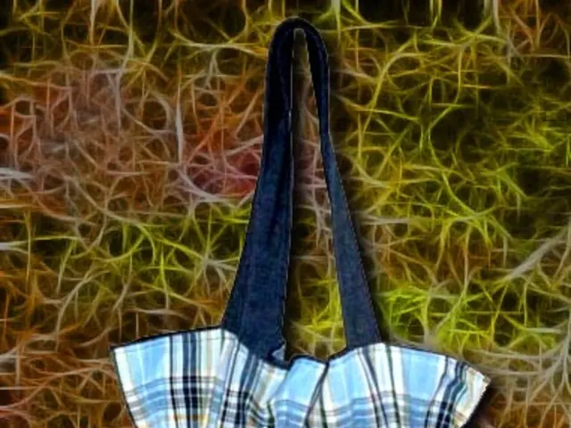 Affordable Luggage Set Available at Walmart, Boasting Thousands of Five-Star Ratings