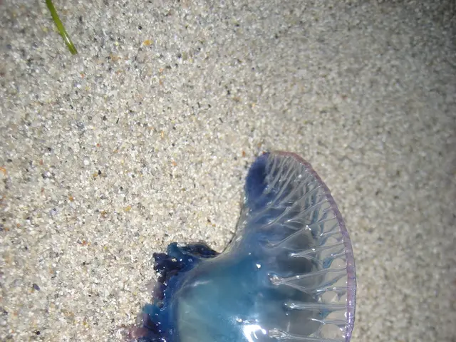 Solution Application Wipes Out Pests Instantly