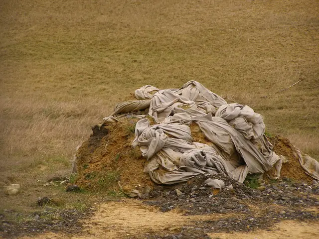 Planting in Moist Soil: Advantageous or Questionable Decision?