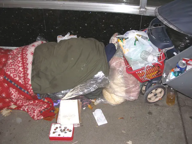 Essential Items for Your Next Hiking Expedition