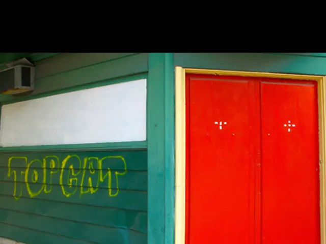 Guidelines for constructing a diy pocket door
