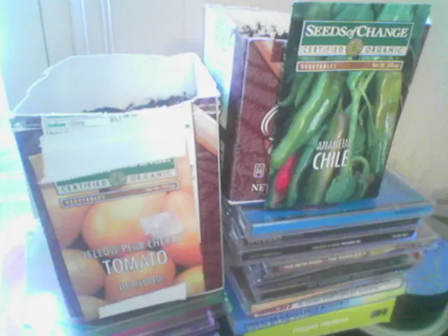 How to Obtain a Permanent Driving License in Mexico City (CDMX)