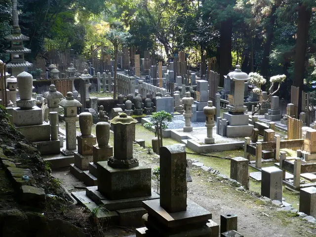 Trees provided to Worms burial ground, numbering seven