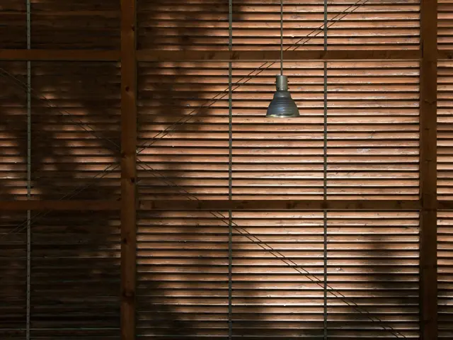 Advantages of Automated Window Shades in Residential Living Spaces