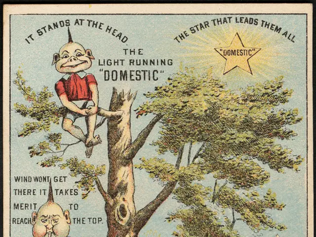 Behind the Scenes: The Wattle Fence, a Retro Charm Perfect for Your Green Space Estate