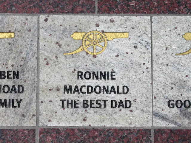 Government Offerings for Citizens