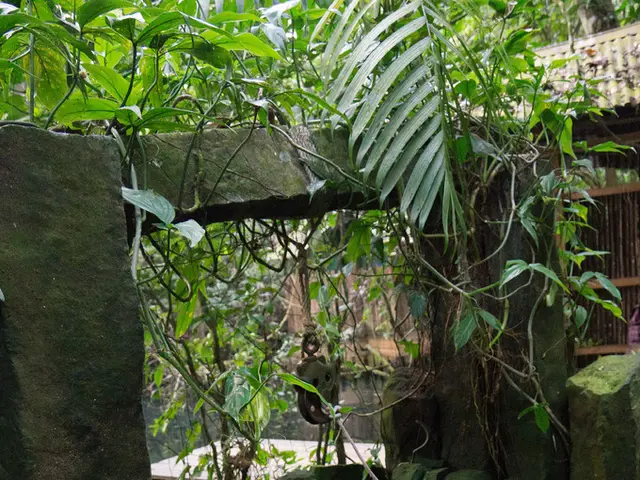 DIY Instructions for Installing a Contemporary Well Water Pump