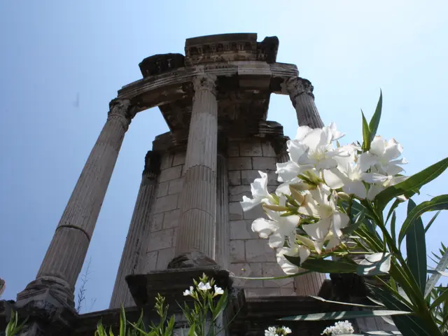 Vibrant Blossoms in a Bed: Flower Bed Displaying Shades of Blue