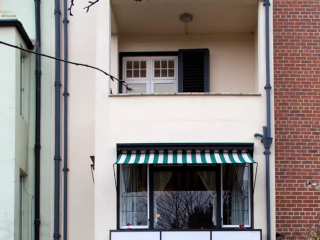 Houseplant enthusiasts, take note: these 5 plants in the hue 'Hidden Gem' will bring a touch of...