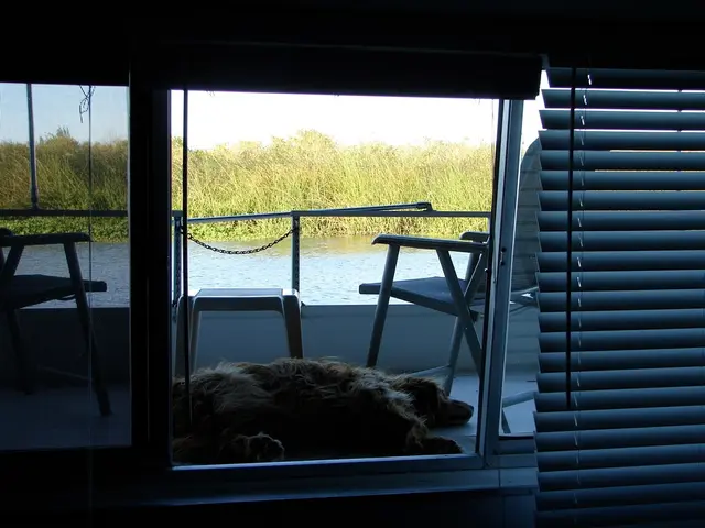 Animal shelter excursion in collaboration with the Pforzheimer establishment