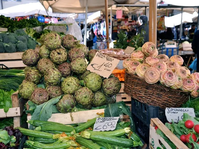 Enhanced Outdoor Gatherings Elevate NYC Park Facilities