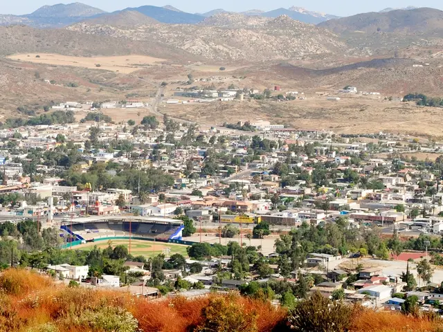 Plans for the Summer's Electoral Action Draw Responses