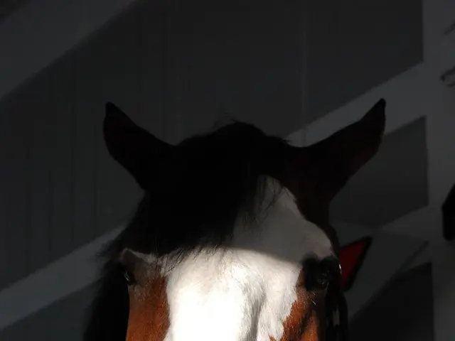 Firefighters in Dusseldorf, Ludenberg, successfully extricate a stranded horse.