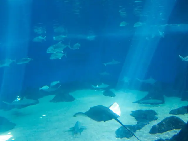 Comprehensive Insight into Top-Tier Fishing Spots on Middle Caicos