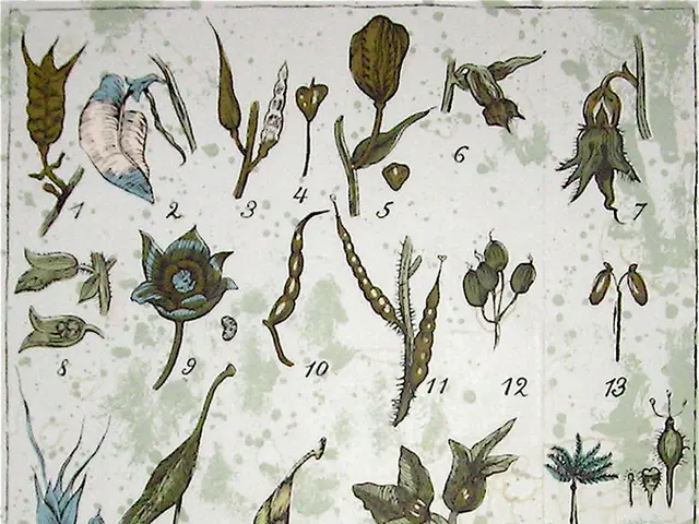 Orchid Lifespan Duration and Techniques to Prolong It