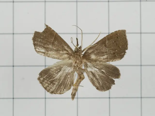 Ready for Encountering an Unexpected Pest Crisis: Guidelines for Efficient Response