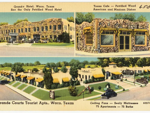 Multiple fresh street art murals have appeared.