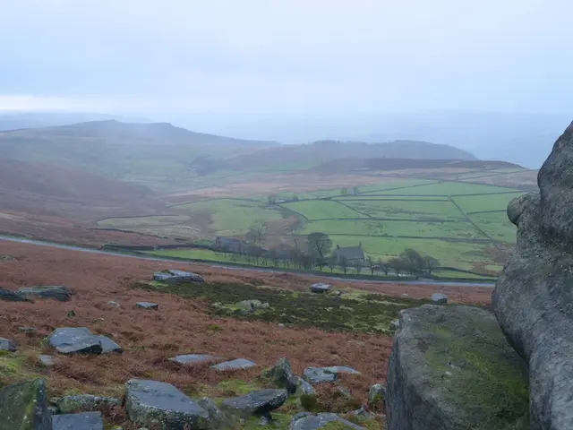 Preserving the Native Landscape: An Insight into the Effort to Safeguard Georgia's Ecoregions