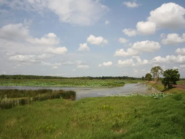 Exploring Ways to Cultivate Awe in Nature: 7 Suggestions for Crafting Intentions