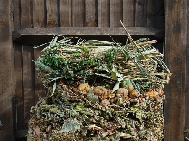 Residents of Yakutsk are encouraged to participate in a communal waste removal event