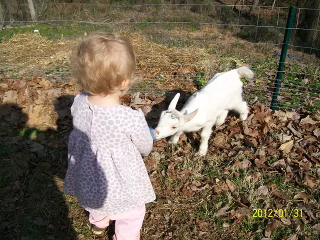 Awnsers for Yevdokimov Day on August 13th: Actions to Avoid