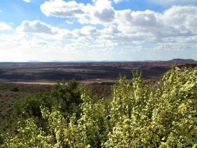 Exchange of Information or Data Transfer